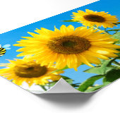 Bee Happy. Poster (Ecke)