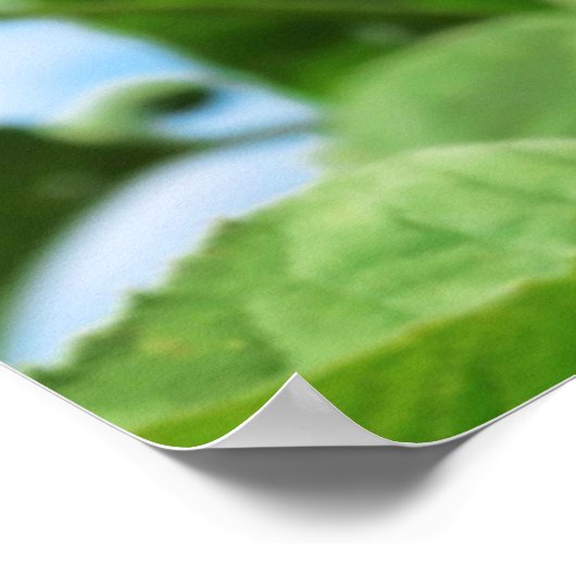 Bee Happy. Poster (Ecke)