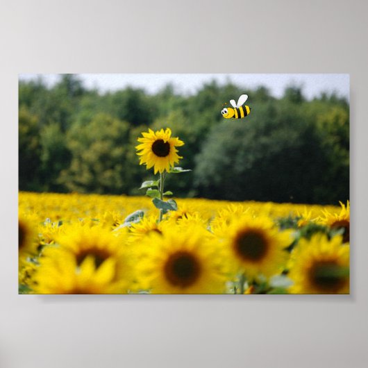 Bee Happy. Poster (Vorne)
