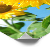 Bee Happy. Poster (Ecke)