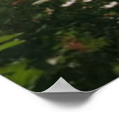 Bee Happy. Poster (Ecke)