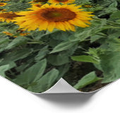 Bee Happy. Poster (Ecke)