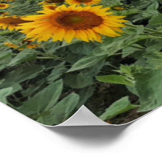 Bee Happy. Poster (Ecke)