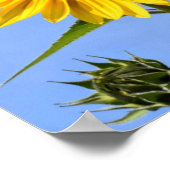 Bee Happy. Poster (Ecke)