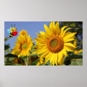 Bee Happy. Poster (Vorne)
