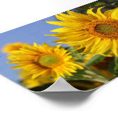 Bee Happy. Poster (Ecke)