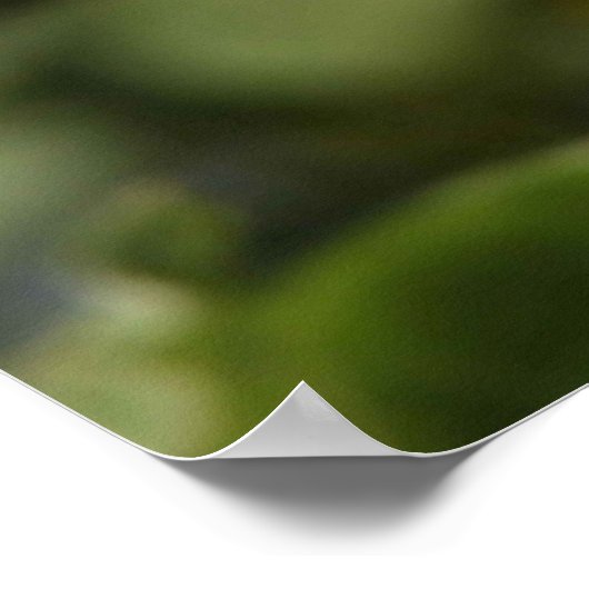 Bee Happy. Poster (Ecke)