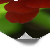 Bee Happy Red Blume Poster (Ecke)