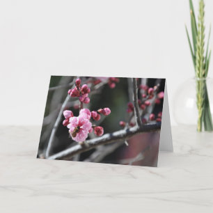 Bee in Flower - Greeting Card Karte