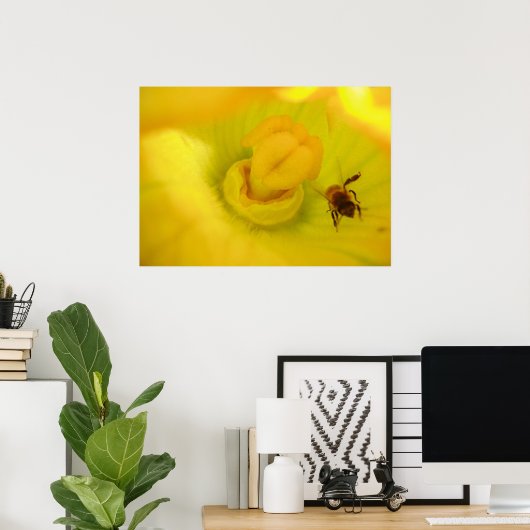 Bee In Zucchini Blume Print Poster (Heimbüro)