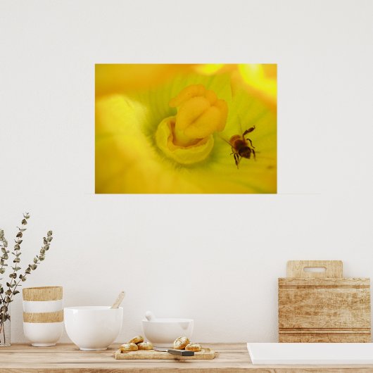 Bee In Zucchini Blume Print Poster (Küche)