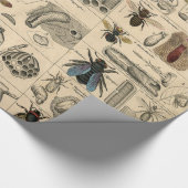 Bee Insect Bug Wasp Natural History Bees Geschenkpapier (Ecke)