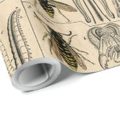 Bee Insect Bug Wasp Natural History Bees Geschenkpapier (Rolleneckpunkt)