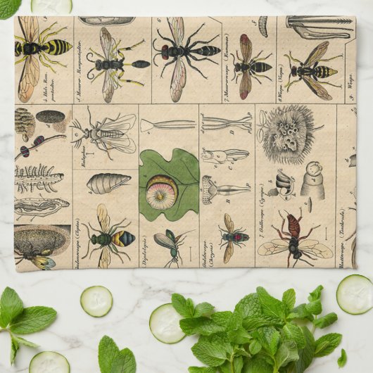 Bee Insect Bug Wasp Natural History Bees Geschirrtuch (Gefaltet)