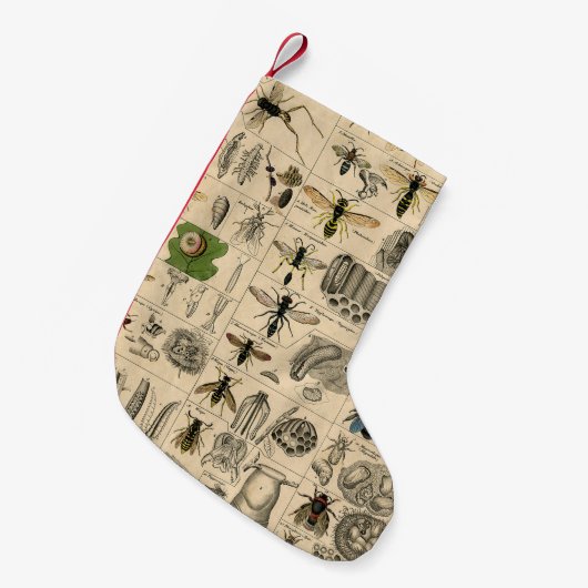 Bee Insect Bug Wasp Natural History Bees Kleiner Weihnachtsstrumpf (Vorderansicht (hängend))