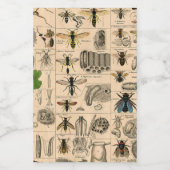 Bee Insect Bug Wasp Natural History Bees Lebensmitteletikett (Einzelnes Label)