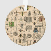 Bee Insect Bug Wasp Natural History Bees Ornament (Rückseite)