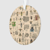 Bee Insect Bug Wasp Natural History Bees Ornament (Vorderseite)