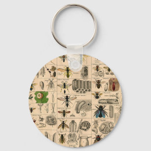 Bee Insect Bug Wasp Natural History Bees Schlüsselanhänger