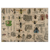 Bee Insect Bug Wasp Natural History Bees Schneidebrett (Vorderseite)