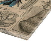 Bee Insect Bug Wasp Natural History Bees Schneidebrett (Ecke)