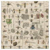 Bee Insect Bug Wasp Natural History Bees Stoff (Nahaufnahme)