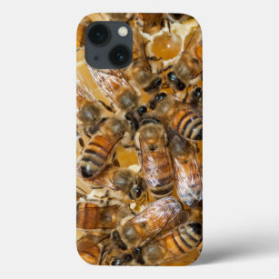 Bee keeping at Arlo’s Honey Farm iPhone 13 Hülle