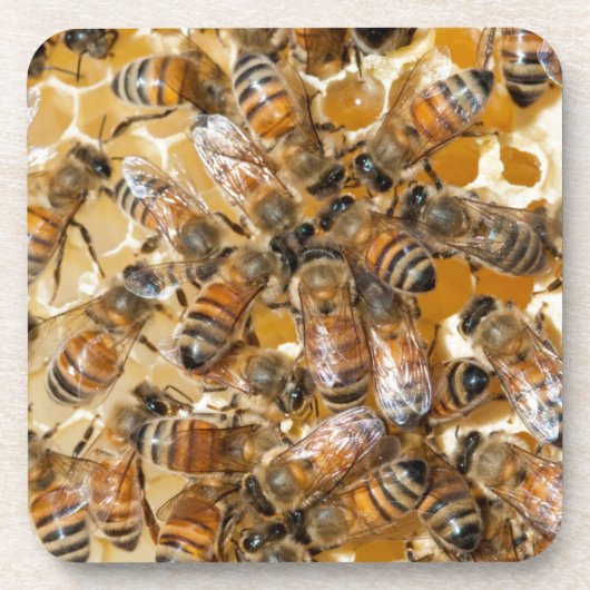 Bee keeping at Arlo’s Honey Farm Getränkeuntersetzer (Vorderseite)