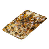 Bee keeping at Arlo’s Honey Farm Magnet (Linke Seite)