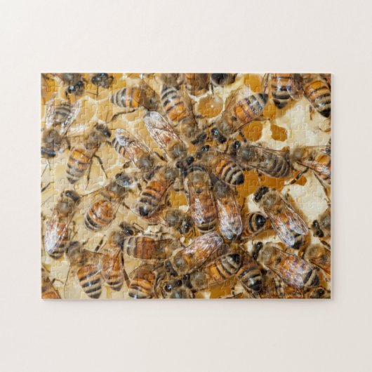 Bee keeping at Arlo’s Honey Farm Puzzle (Horizontal)