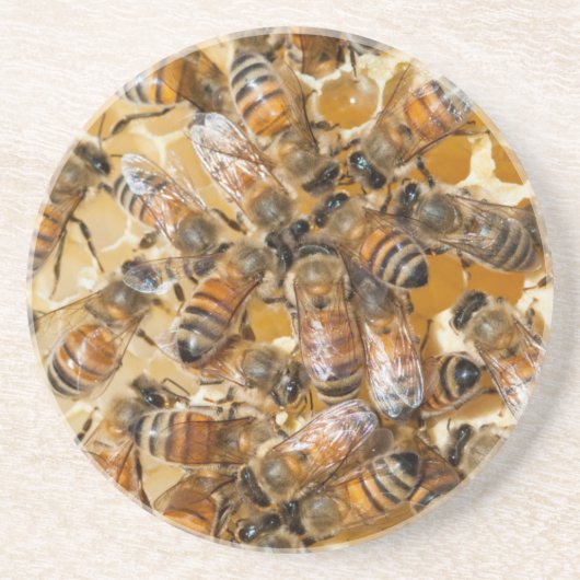 Bee keeping at Arlo’s Honey Farm Sandstein Untersetzer (Vorne)