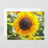 Bee Kind | Sonnenblume Postkarte (Vorne/Hinten)