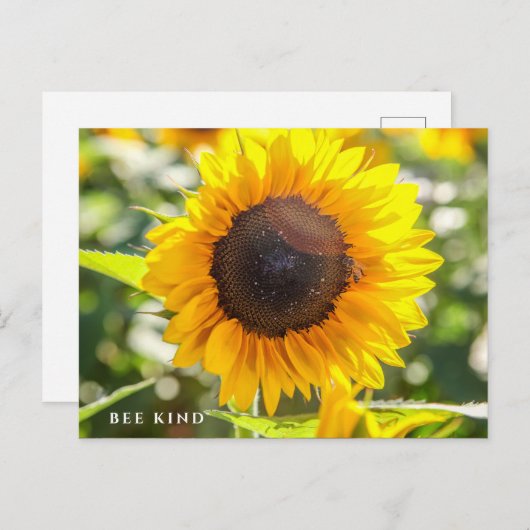 Bee Kind | Sonnenblume Postkarte (Vorne/Hinten)