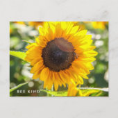 Bee Kind | Sonnenblume Postkarte (Vorderseite)
