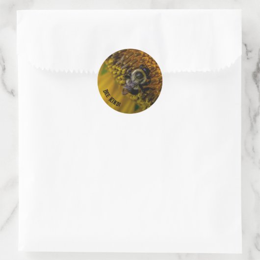 Bee Kind Stickers (Tasche)