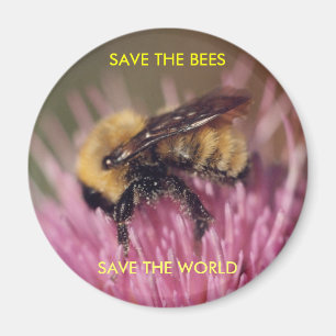 Bee Magnet