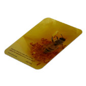 Bee Magnet (Linke Seite)