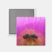 Bee Magnet (Vorderseite/Rückseite)