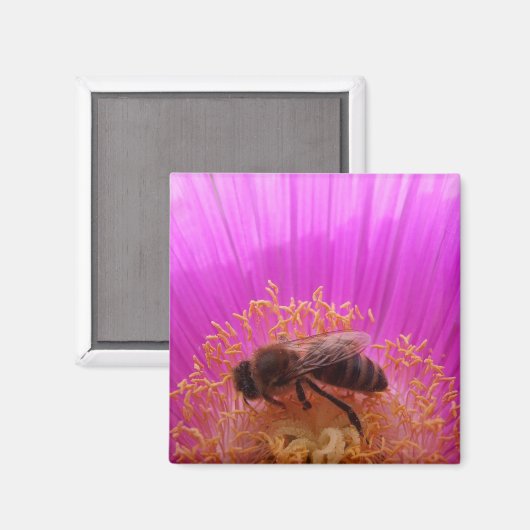 Bee Magnet (Vorderseite/Rückseite)
