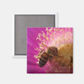 Bee Magnets Magnet (Vorderseite/Rückseite)