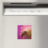 Bee Magnets Magnet (In Situ (Geschirrspüler))