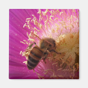 Bee Magnets Magnet
