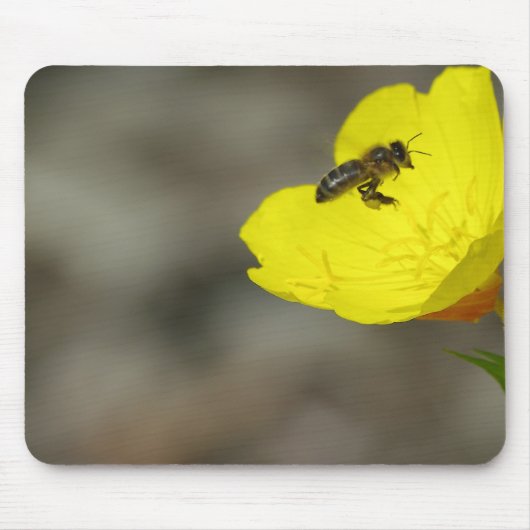 Bee Mousepad (Vorne)