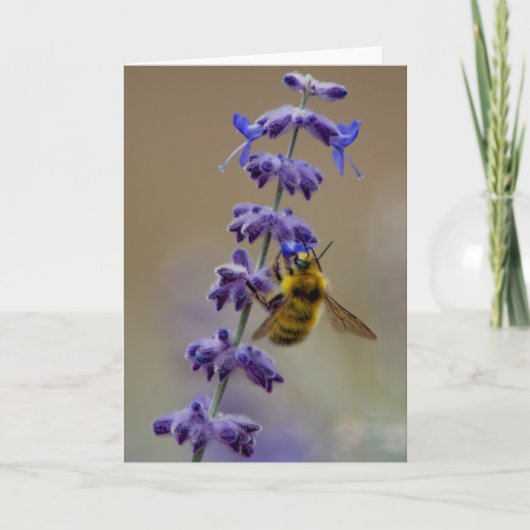 Bee-N-Lavender Danke-Card Dankeskarte (Vorderseite)