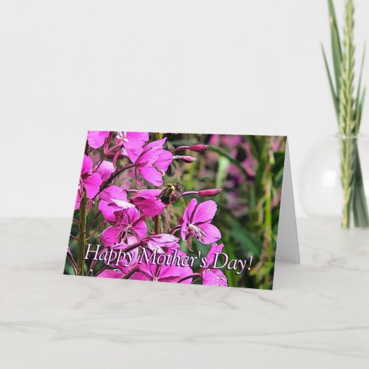 Bee Nice Karte (Vorderseite)