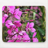 Bee Nice Mousepad (Vorne)