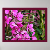 Bee Nice Poster (Vorne)