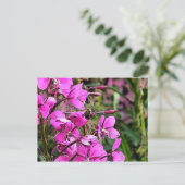 Bee Nice Postkarte (Stehend Vorderseite)