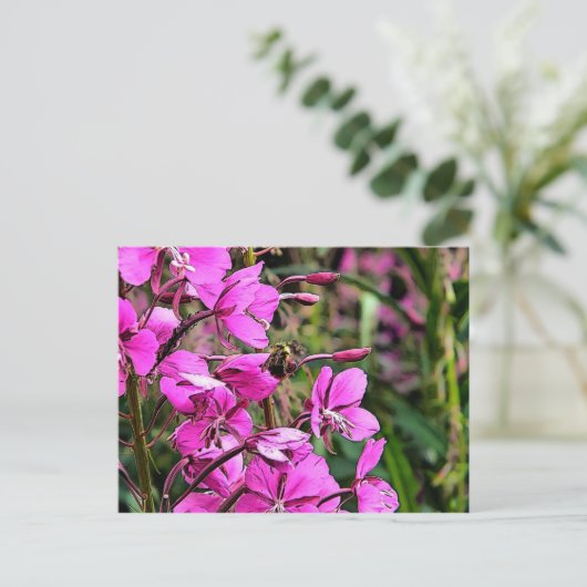 Bee Nice Postkarte (Stehend Vorderseite)