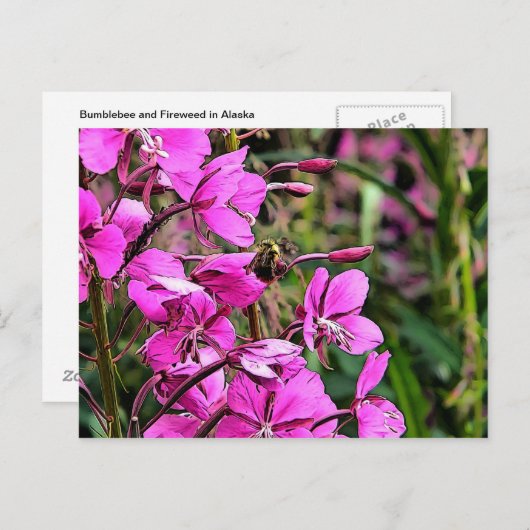 Bee Nice Postkarte (Vorne/Hinten)